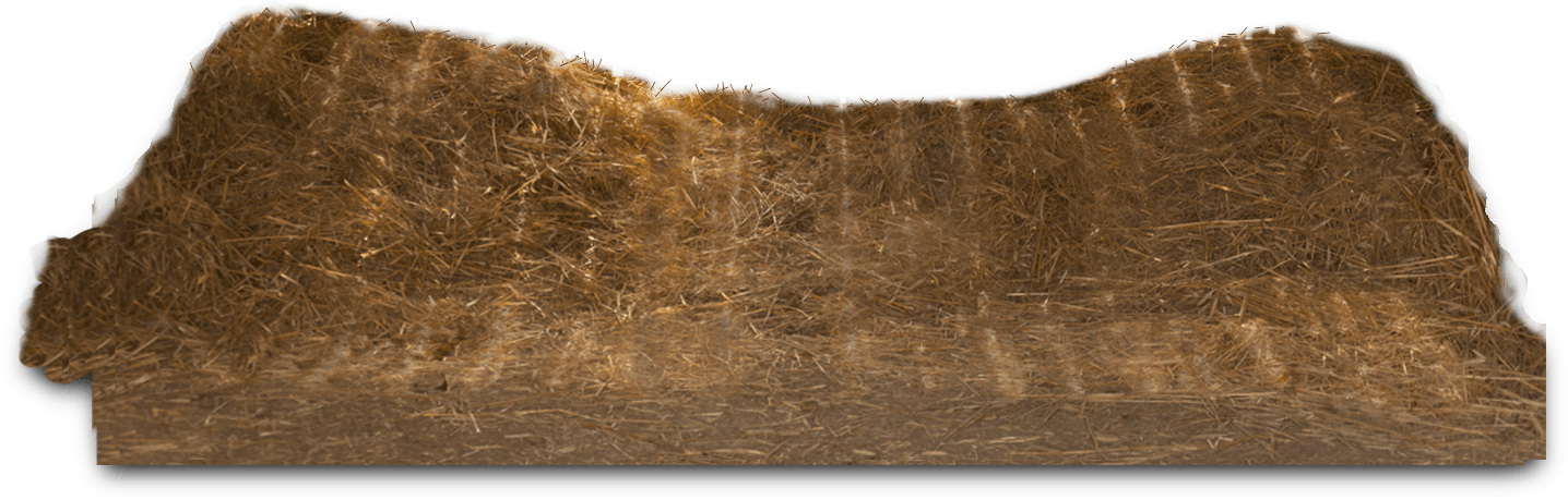 hay